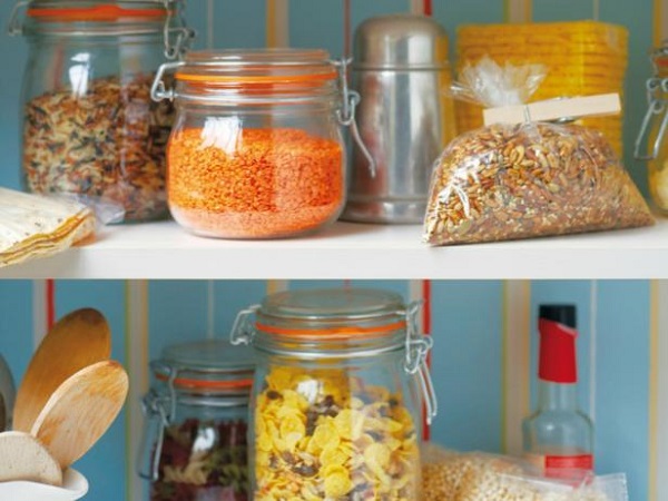 Tiny Black Bugs In Your Kitchen