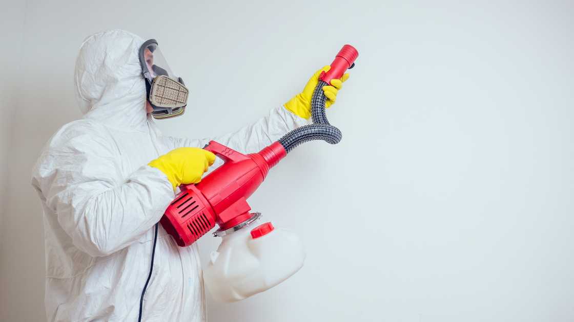 How to Spray Interior Walls: A Step-by-Step Guide for a Flawless Finish